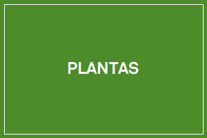 Instrumentos para fisiologia vegetal